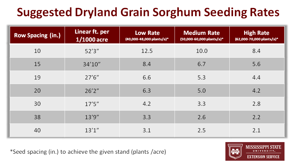 Corn Seeding Rate Chart