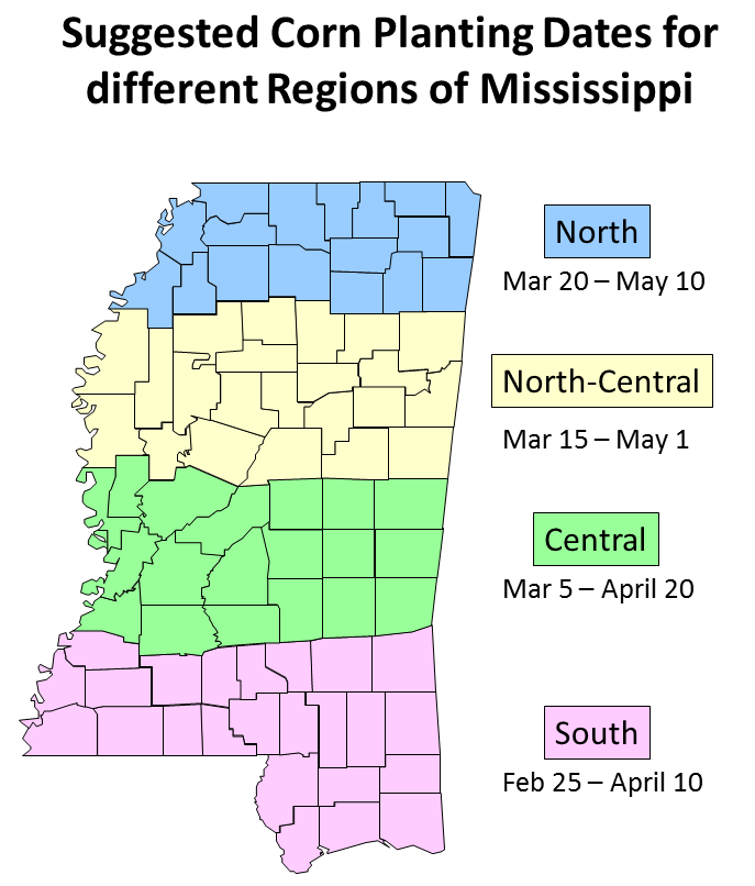 What is the CutOff Date for Planting Corn? Mississippi