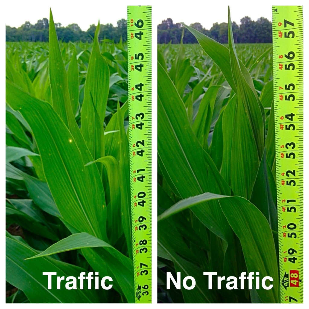 Tire Traffic Soil Compaction Effects on Corn Mississippi
