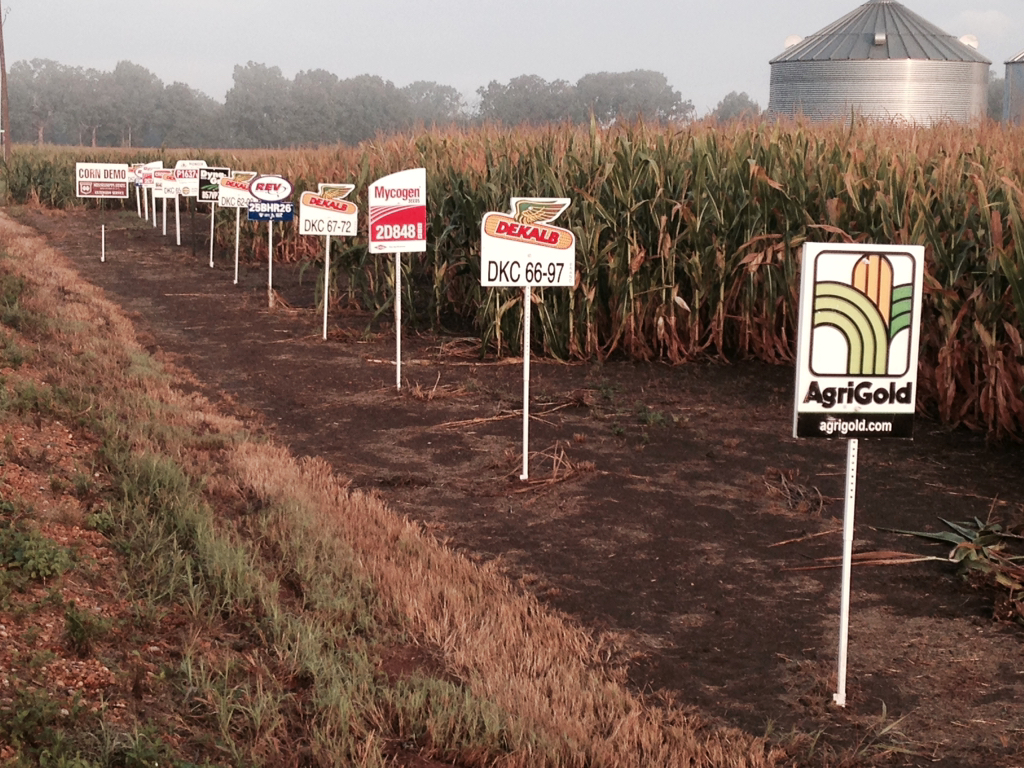 2015 Corn Hybrid Demonstration Program Summary Mississippi Crop Situation