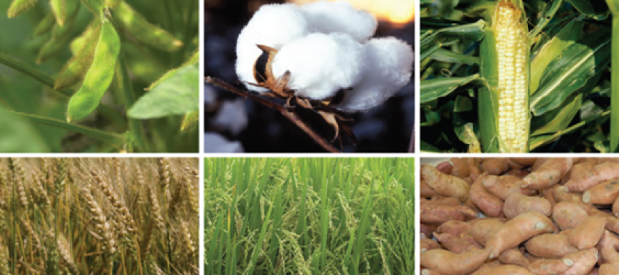 2015 Insect Control Guide for Agronomic Crops