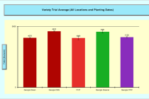 Evaluation of Peanut Varieties in Mississippi, 2010