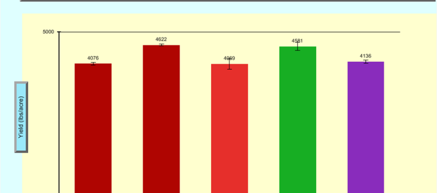 Evaluation of Peanut Varieties in Mississippi, 2010