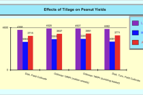 Evaluation of Tillage Systems as Related to Peanut Yield