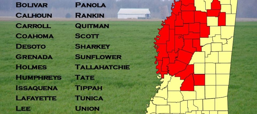 Glyphosate-resistant Italian Ryegrass Spreading across Mississippi