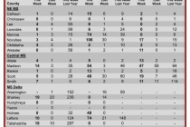 Insect Trap Counts, June 6, 2012