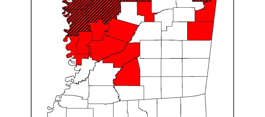 Bacterial Blight of Cotton Update: July 13, 2012