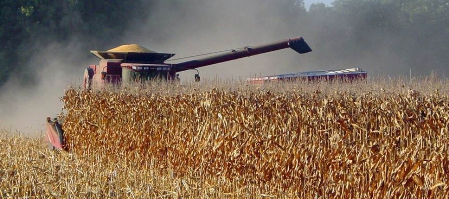 When is the Best Time to Start Corn Harvest?