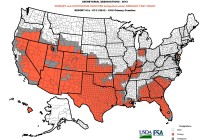 Drought Monitor and Rainfall Effects on Cotton