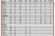 Insect Trap Counts, August 8, 2012