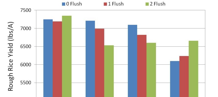 How will rainfall impact seed treatments in soybeans, rice, cotton, and other crops?