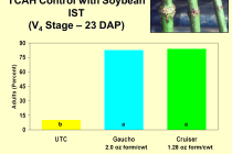 Do Insecticide Seed Treatments Provide any Value on Late Planted Soybeans?