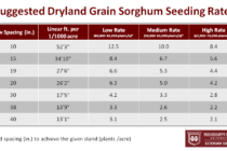 Seeding Rates and other Grain Sorghum Planting Tips