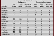 Pheromone Trap Counts, May 24, 2013