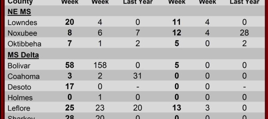 Pheromone Trap Counts, May 24, 2013