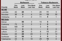 Pheromone Trap Counts, May 31, 2013