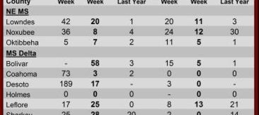 Pheromone Trap Counts, May 31, 2013