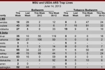 Pheromone Trap Counts, June 14, 2013