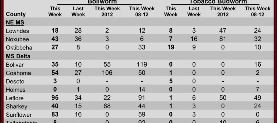 Pheromone Trap Counts, June 14, 2013