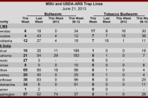 Pheromone Trap Counts, June 21, 2013