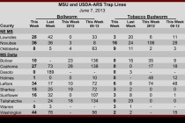 Pheromone Trap Counts, June 7, 2013