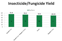 Fungicide Time for Soybeans: The Insecticide Add on Dilemma