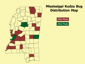 Mississippi Kudzu Bug Distribution Map8_3_13
