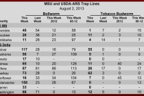 Insect Pheromone Trap Counts August 2, 2013