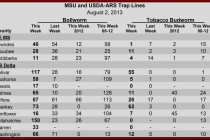 Insect Pheromone Trap Counts August 2, 2013