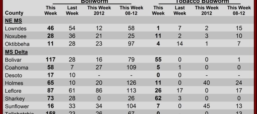 Insect Pheromone Trap Counts August 2, 2013