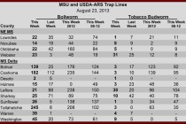 Insect Pheromone Trap Counts, August 23, 2013