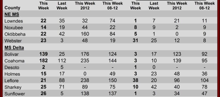 Insect Pheromone Trap Counts, August 23, 2013