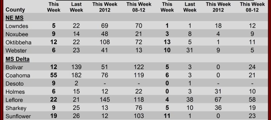 Insect Trap Counts, August 30, 2013