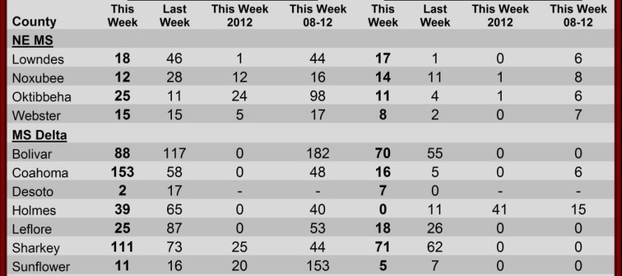 Insect Pheromone Trap Counts, August 9, 2013