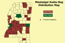 Mississippi Kudzu Bug Update: 9/27/2013