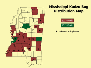 Mississippi Kudzu Bug Distribution Map 9_27_13