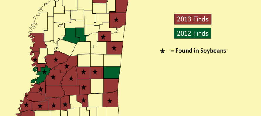 Mississippi Kudzu Bug Update: 9/27/2013