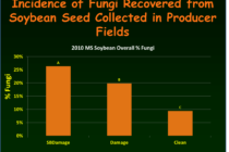 Managing Late Season Stink Bugs in Mississippi Soybean