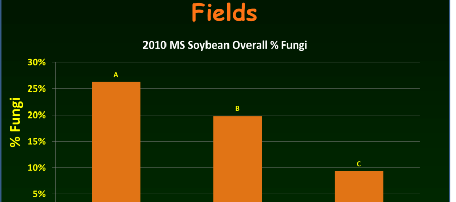 Managing Late Season Stink Bugs in Mississippi Soybean