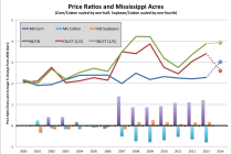 Cotton Market Update