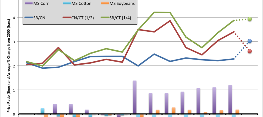 Cotton Market Update