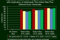 2,4-D and Dicamba Reduce Control of Italian Ryegrass