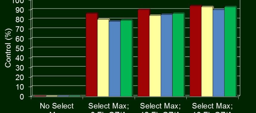 2,4-D and Dicamba Reduce Control of Italian Ryegrass