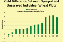 Late Winter Pyrethroid Applications in Wheat for Aphid Control