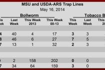 Moth Trap Counts, May 16, 2014