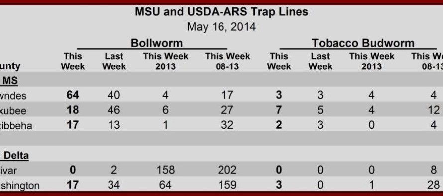 Moth Trap Counts, May 16, 2014