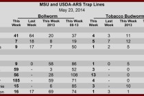 Pheromone Trap Counts, May 23, 2014