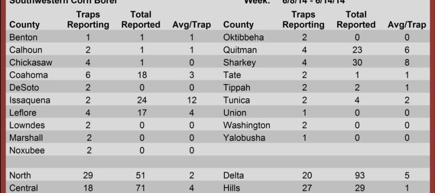 Insect Trap Counts, June 13, 2014