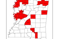 Cotton Bacterial Blight Update: July 18, 2014 (UPDATED 7/28/2014)