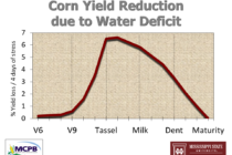 Will We Need to Irrigate Our Corn Again?